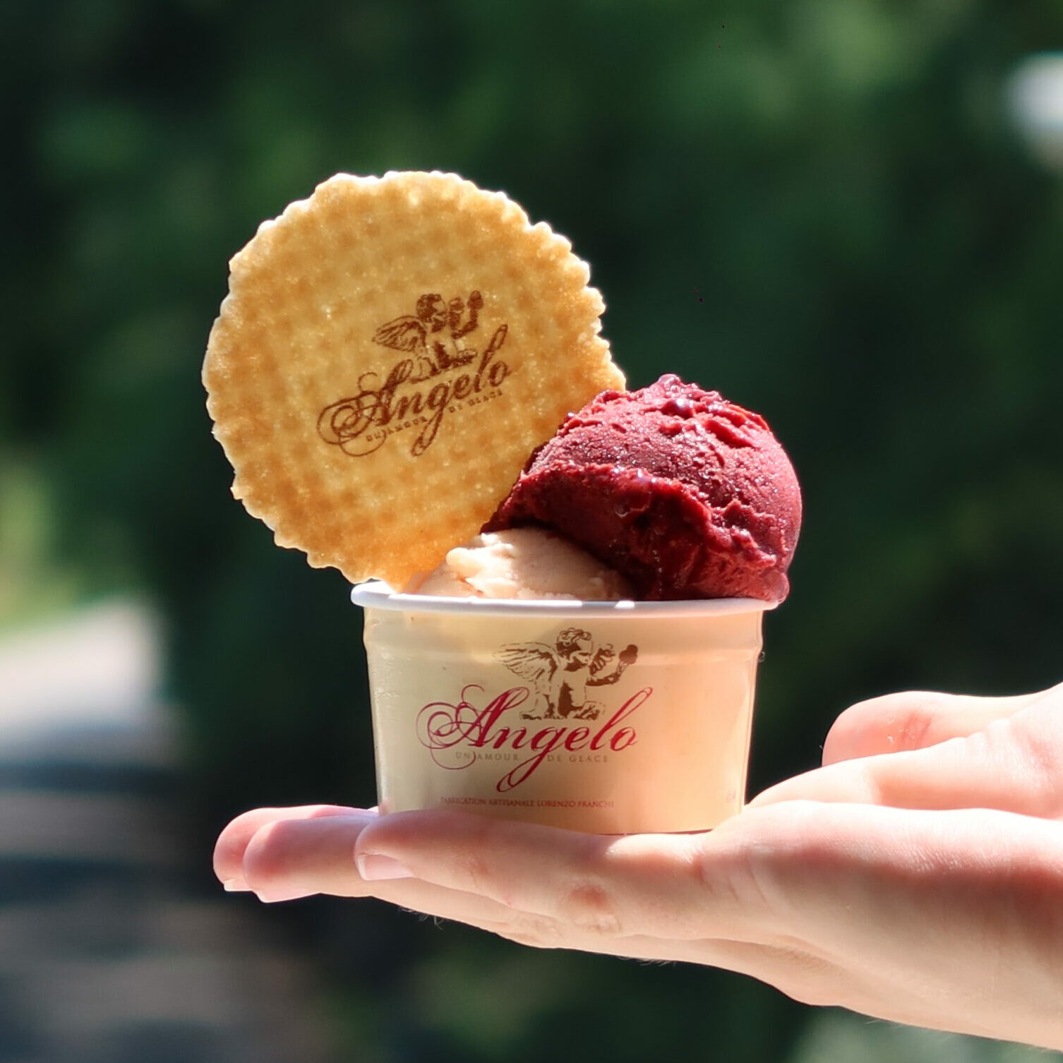Angélo, marque de glaces et sorbets artisanaux