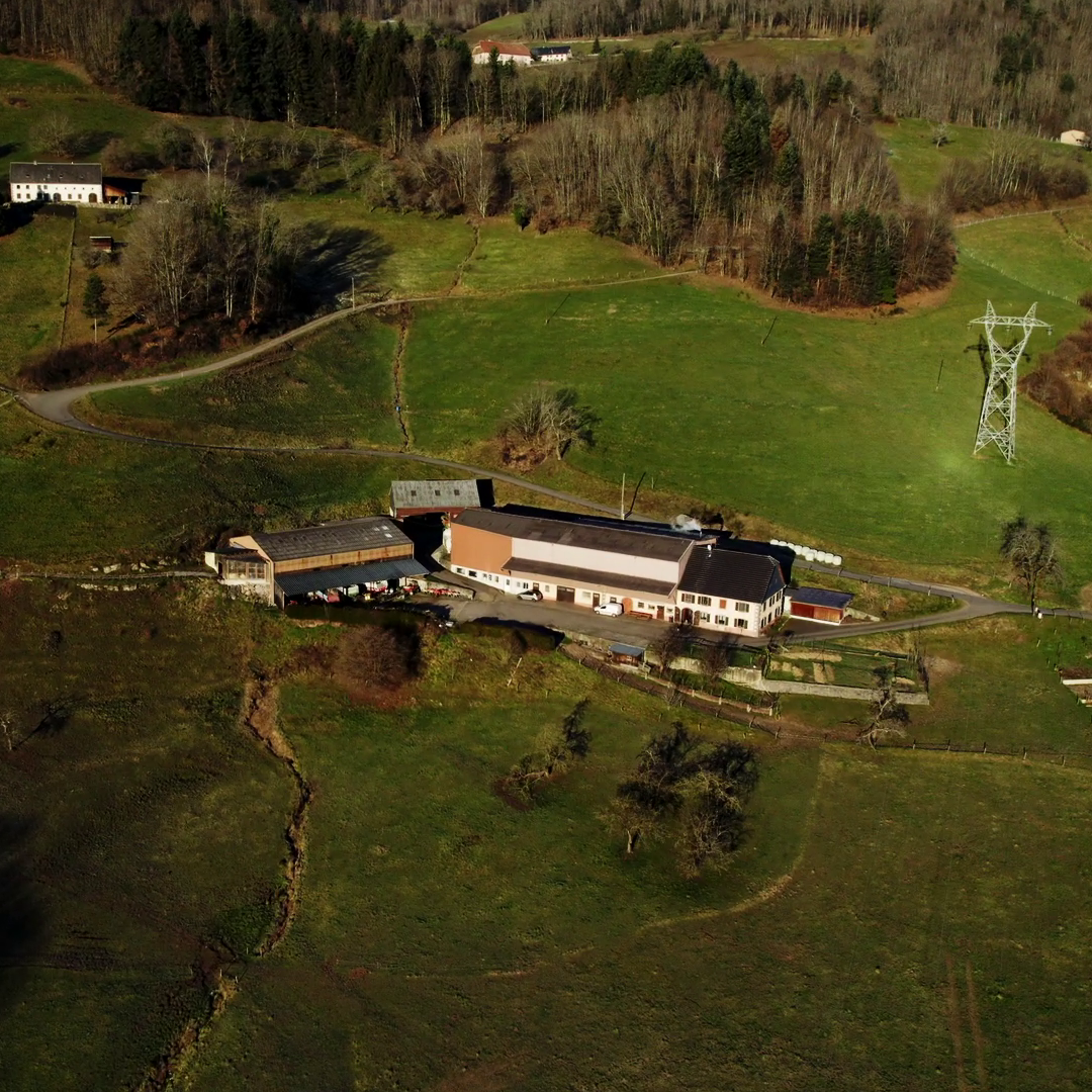 nos deux fermes laitières : production locale et à taille humaine