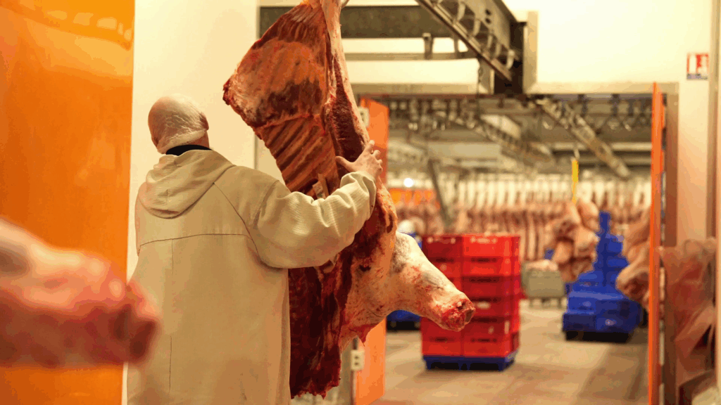 Atelier de découpe et désossage de viande