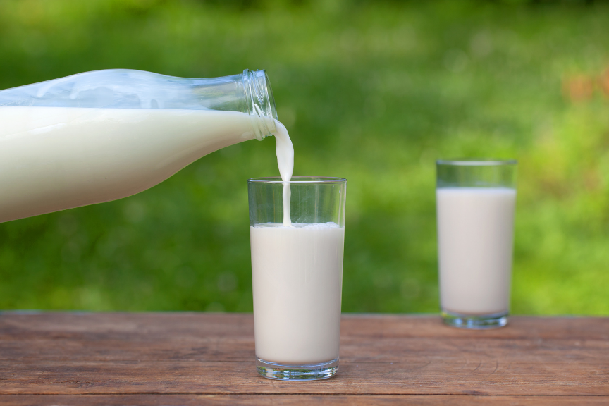 sélection de laits de vache